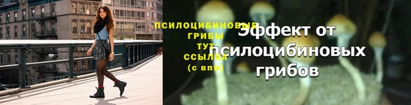 2c-b Алзамай