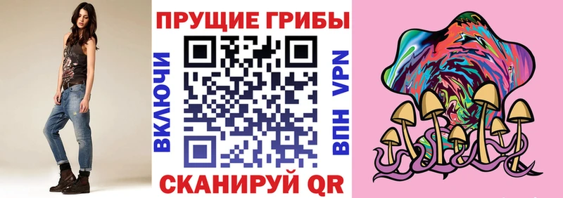 мега маркетплейс  Строитель  Псилоцибиновые грибы ЛСД 